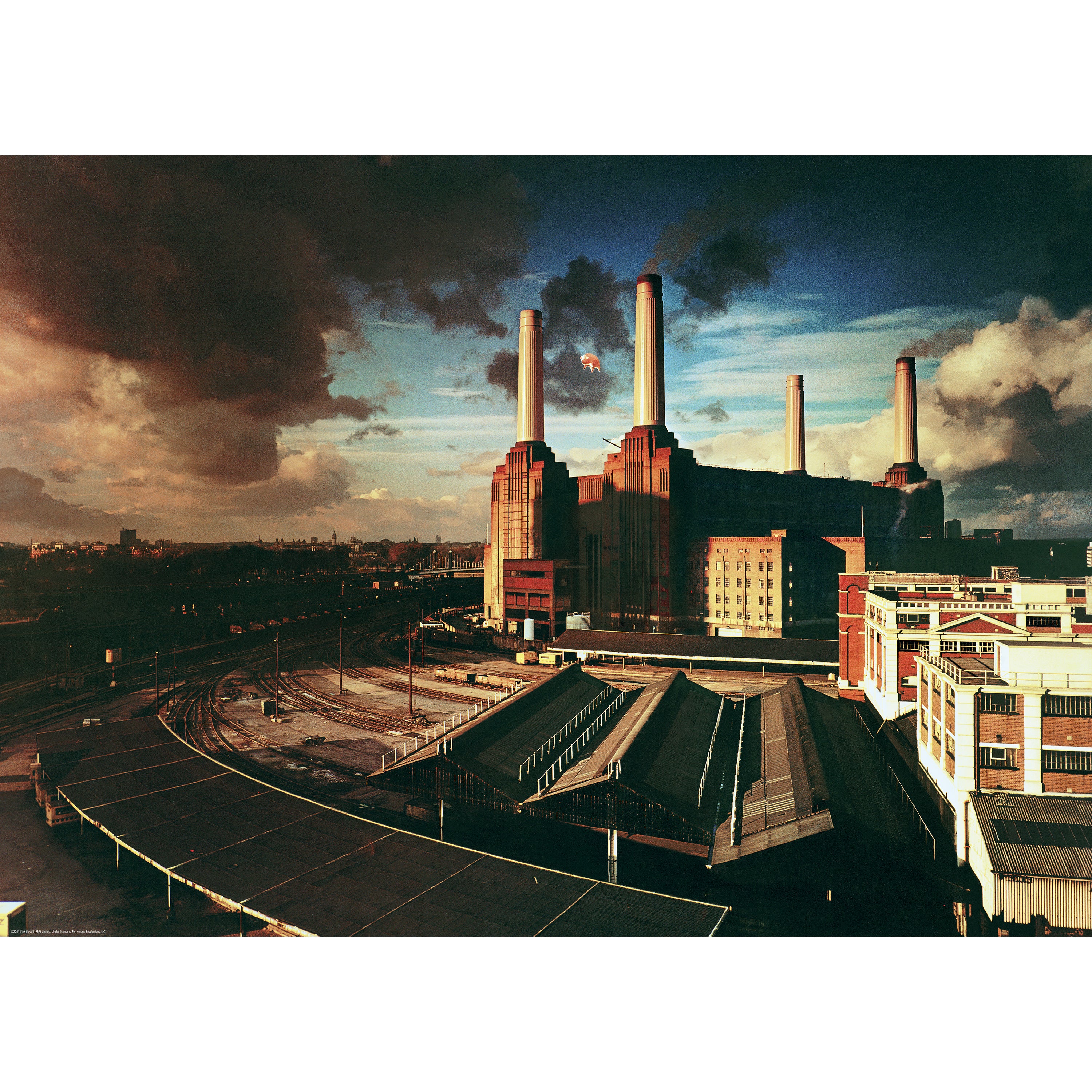 PINK FLOYD ピンクフロイド 狂気, THE WALL, ANIMALS 91olWbah1KL._UF1000,1000_QL80_.jpg